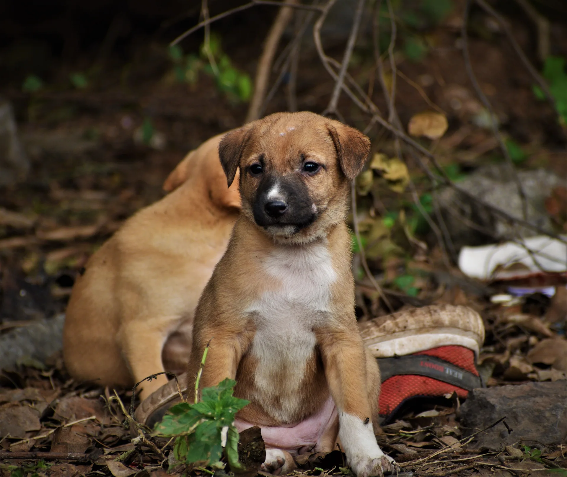 Photo of Bella - Demo profile